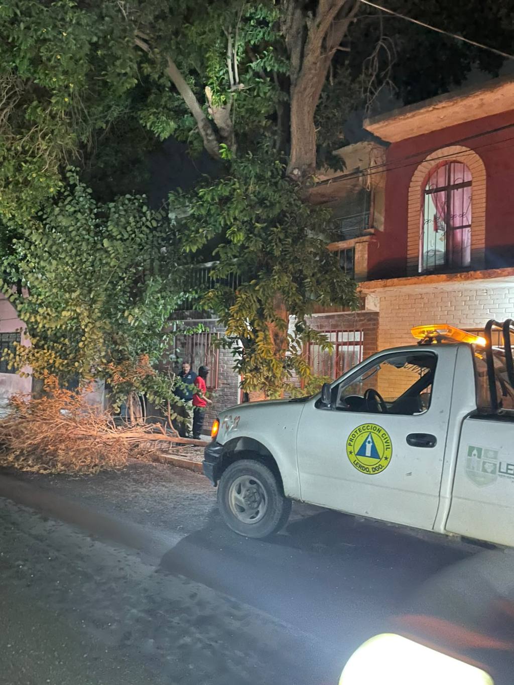 PROTECCIÓN CIVIL ATIENDE CAÍDA DE&nbsp;ÁRBOLES