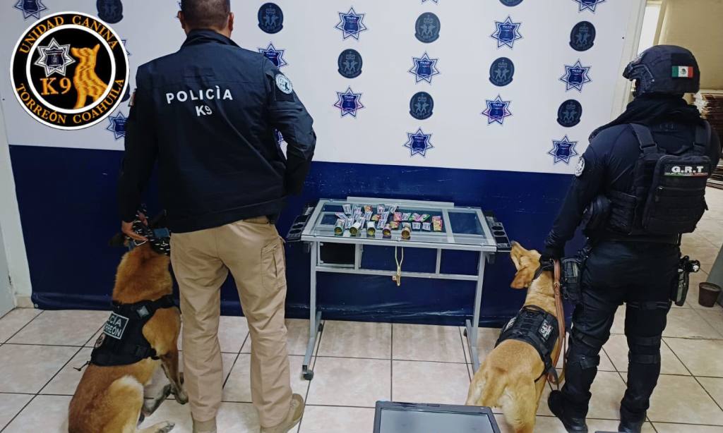 K-9 detecta paquete con gomitas de THC y cigarros de marihuana en paquetería del&nbsp;Centro